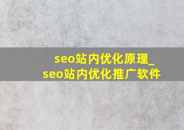 seo站内优化原理_seo站内优化推广软件