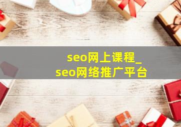 seo网上课程_seo网络推广平台