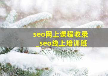 seo网上课程收录_seo线上培训班
