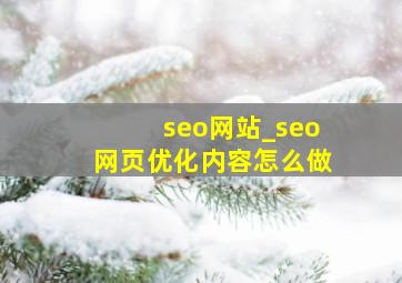 seo网站_seo网页优化内容怎么做