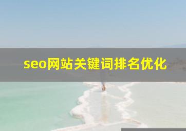 seo网站关键词排名优化
