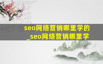 seo网络营销哪里学的_seo网络营销哪里学