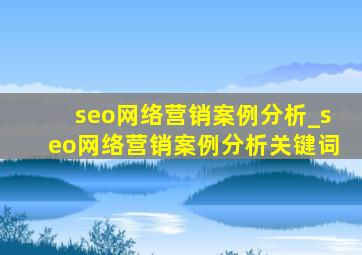 seo网络营销案例分析_seo网络营销案例分析关键词