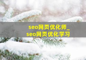 seo网页优化师_seo网页优化学习