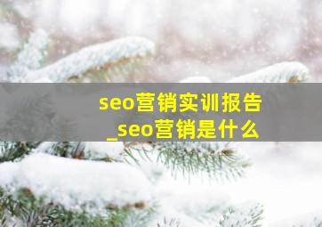 seo营销实训报告_seo营销是什么