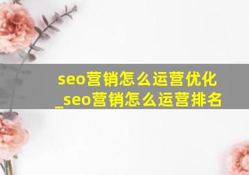 seo营销怎么运营优化_seo营销怎么运营排名