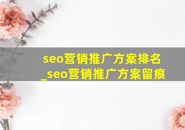 seo营销推广方案排名_seo营销推广方案留痕