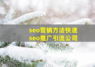 seo营销方法(快速seo推广引流公司)