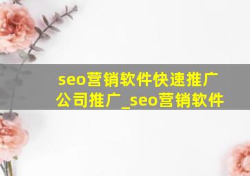 seo营销软件(快速推广公司)推广_seo营销软件