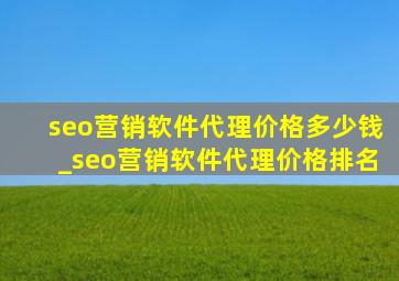 seo营销软件代理价格多少钱_seo营销软件代理价格排名