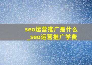 seo运营推广是什么_seo运营推广学费