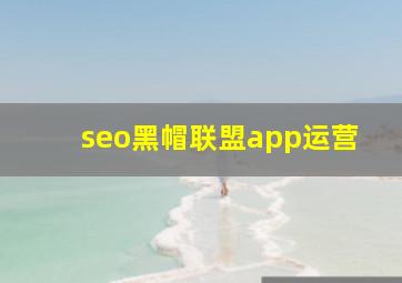 seo黑帽联盟app运营