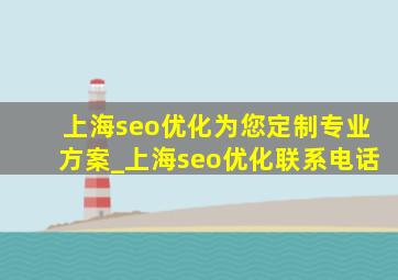 上海seo优化为您定制专业方案_上海seo优化联系电话