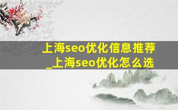 上海seo优化信息推荐_上海seo优化怎么选