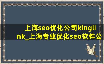 上海seo优化公司kinglink_上海专业优化seo软件公司
