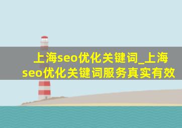 上海seo优化关键词_上海seo优化关键词服务真实有效