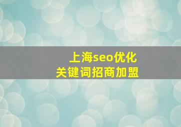 上海seo优化关键词招商加盟