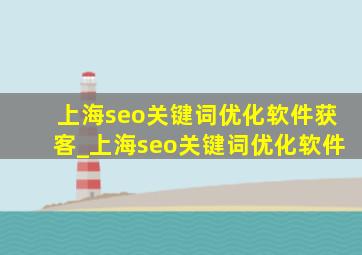 上海seo关键词优化软件获客_上海seo关键词优化软件