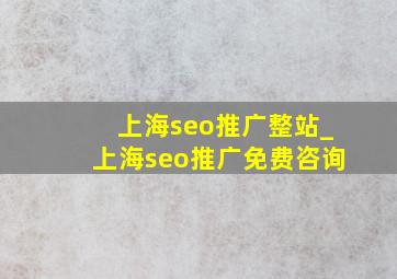 上海seo推广整站_上海seo推广免费咨询