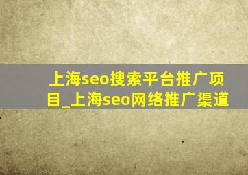 上海seo搜索平台推广项目_上海seo网络推广渠道
