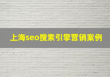 上海seo搜索引擎营销案例