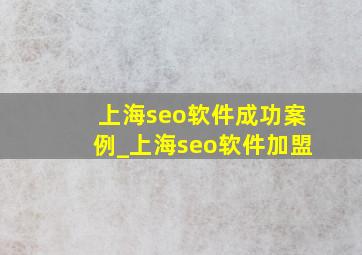 上海seo软件成功案例_上海seo软件加盟