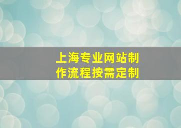 上海专业网站制作流程按需定制