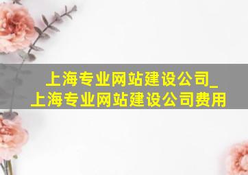 上海专业网站建设公司_上海专业网站建设公司费用