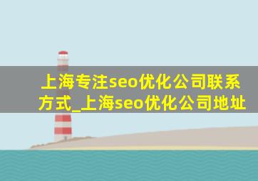 上海专注seo优化公司联系方式_上海seo优化公司地址