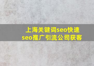 上海关键词seo(快速seo推广引流公司)获客