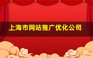 上海市网站推广优化公司