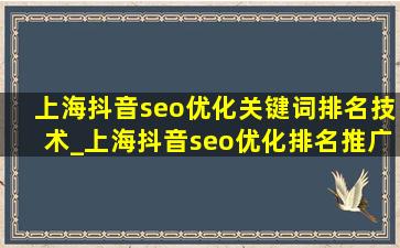 上海抖音seo优化关键词排名技术_上海抖音seo优化排名推广公司