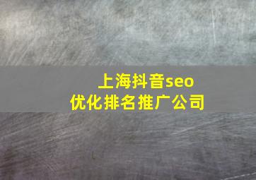 上海抖音seo优化排名推广公司