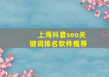 上海抖音seo关键词排名软件推荐