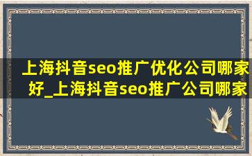 上海抖音seo推广优化公司哪家好_上海抖音seo推广公司哪家强