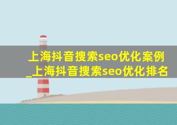 上海抖音搜索seo优化案例_上海抖音搜索seo优化排名
