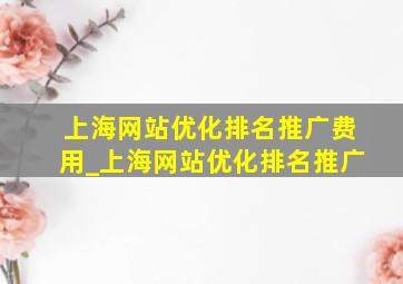 上海网站优化排名推广费用_上海网站优化排名推广