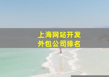 上海网站开发外包公司排名