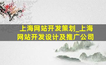 上海网站开发策划_上海网站开发设计及推广公司