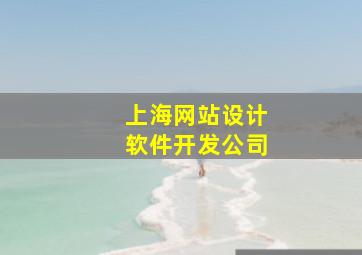 上海网站设计软件开发公司