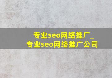 专业seo网络推广_专业seo网络推广公司
