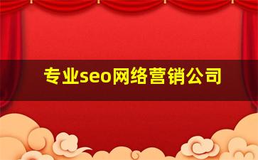 专业seo网络营销公司