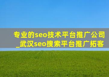 专业的seo技术平台推广公司_武汉seo搜索平台推广拓客