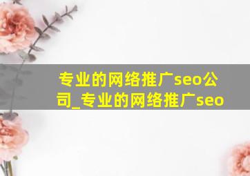 专业的网络推广seo公司_专业的网络推广seo