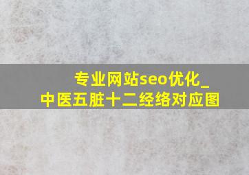 专业网站seo优化_中医五脏十二经络对应图
