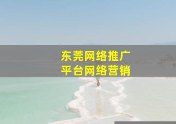 东莞网络推广平台网络营销