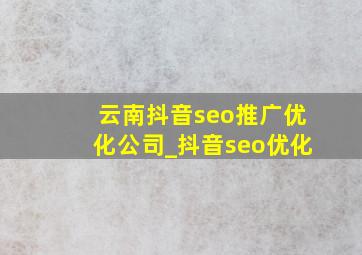 云南抖音seo推广优化公司_抖音seo优化