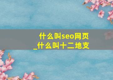 什么叫seo网页_什么叫十二地支