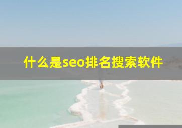 什么是seo排名搜索软件