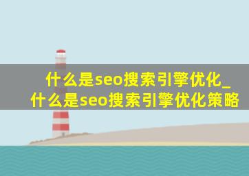 什么是seo搜索引擎优化_什么是seo搜索引擎优化策略